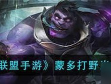 联盟先知出装思路攻略大全