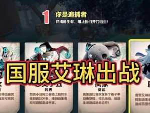 王者荣耀-艾琳出装攻略（精准输出，登顶王者之路）