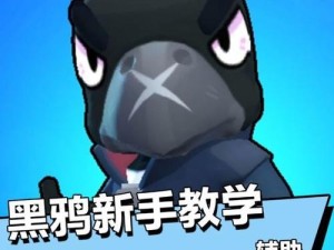 乌鸦大乱斗出装攻略（经典版本的乌鸦出装分析与技巧分享）