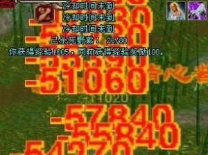 《天龙八部纯刷怪出装攻略》（从初级到高级，助你快速提升战力！）