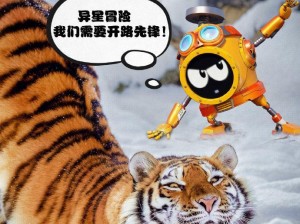征途变熊猫技能加点攻略（技能加点让你成为顶级熊猫玩家）
