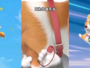 《掌握派派宠物攻略技能，打造顶级强力队伍》（全面解析派派宠物攻略技巧，帮你获得战胜对手的利器！）