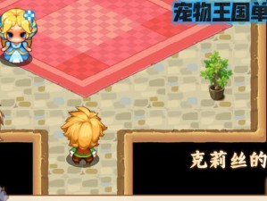 《宠物王国单机版攻略技能大揭秘》（打造最强宠物阵容，征服王国的秘诀！）