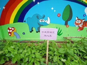 英雄联盟攻略（揭秘含羞蓓蕾最佳装备选择，助你在战场中无往不利！）