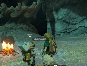 《王国之泪技能蓝图攻略》（解锁技能蓝图的关键及优化技巧）