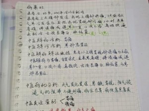 中国医师技能备考攻略（打造高效备考计划，突破医师技能考试难关）