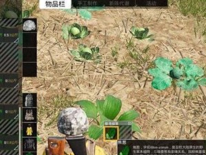 危险人渣第六章攻略（游戏必备，快速过关）