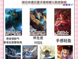 墨子比赛辅助出装攻略（为你解析辅助墨子的最佳出装选择）