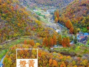 黑化张良攻略——战场上的魅影（技巧、出装与策略，让张良焕发黑化之力）