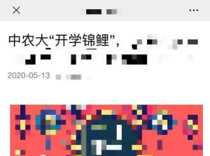 《触手双料锦鲤出装顺序攻略》（打造最强双料锦鲤，装备选择及顺序解析）