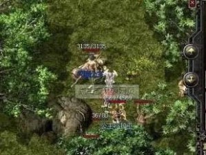 路黑哥出装攻略（征战巅峰，装备指南全揭秘！）