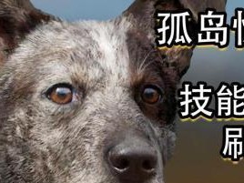 极地战嚎5技能攻略（从新手到高手，掌握关键技能，成为无敌战士！）