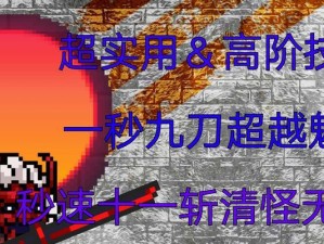 刺客9技能加点攻略（技能加点策略、属性提升、装备选择，助你成为顶级刺客！）