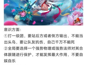 《官渡张绣出装攻略视频讲解》（从装备选择到技巧运用，打造强大的张绣！）