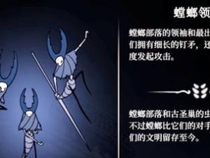 无伤打野出装攻略（解密最佳装备组合，助你无伤击杀野区怪物！）