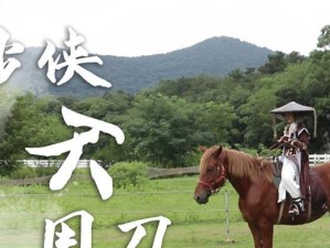 剑三刀马技能选择攻略（探索最佳技能搭配，助你在剑三世界中无往不利！）